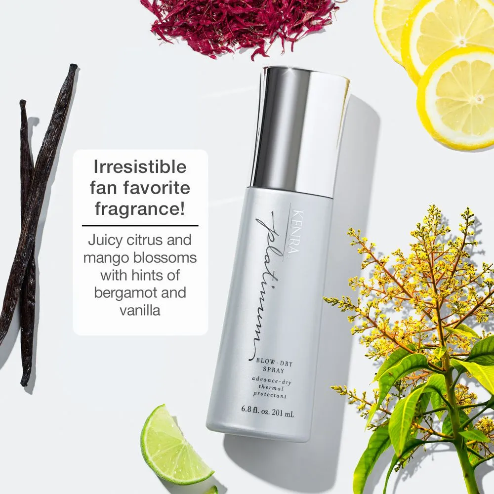 Kenra Professional Platinum Blow-Dry Spray